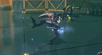 Animation2_3.gif