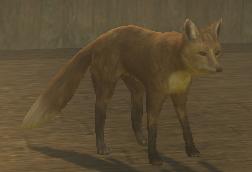 キツネ 茶.jpg キツネ 茶.jpg