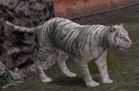 白虎.gif 白虎.gif