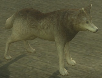 053010_121739_0001.jpg 053010_121739_0001.jpg