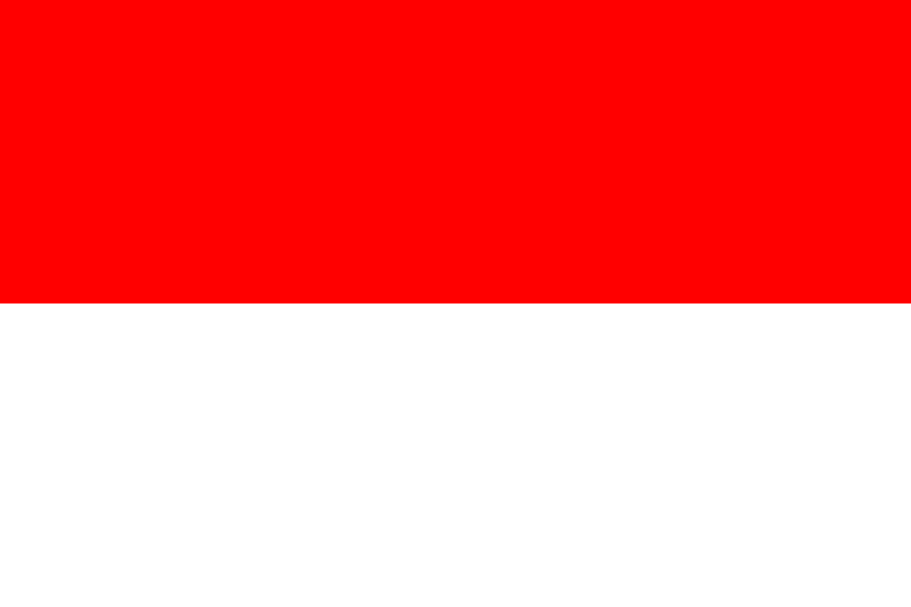 国_インドネシア.png