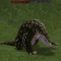 WhiptailAnteater.png