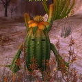 Flower_Cactus.png