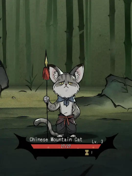 Chinese Mountain Cat Chinese Mountain Cat