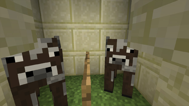 Amecoro Minecraft Nanjyasorya Wiki Amecoro Minecraft Nanjyasorya Wiki