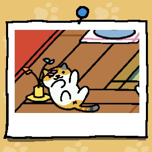 しまみけさん ねこあつめ Wiki しまみけさん ねこあつめ Wiki