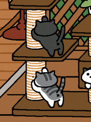 遊び道具系 ねこあつめ Wiki 遊び道具系 ねこあつめ Wiki