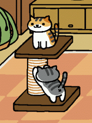 遊び道具系 ねこあつめ Wiki 遊び道具系 ねこあつめ Wiki