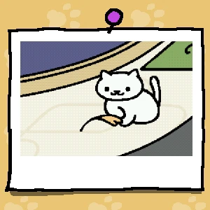 しろねこさん - ねこあつめ Wiki*