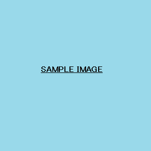 sample_image.png