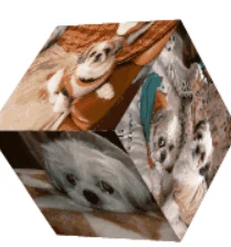 スクリーンショット 2025-09-03 194945.png