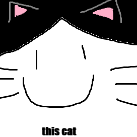this cat.png