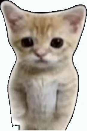 A Scaredy Cat, Nico's Nextbots Fanmade Wiki