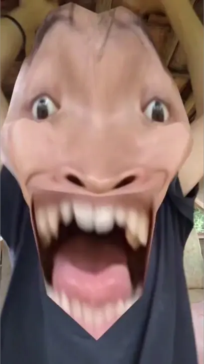 無題1647_20240708140115.png