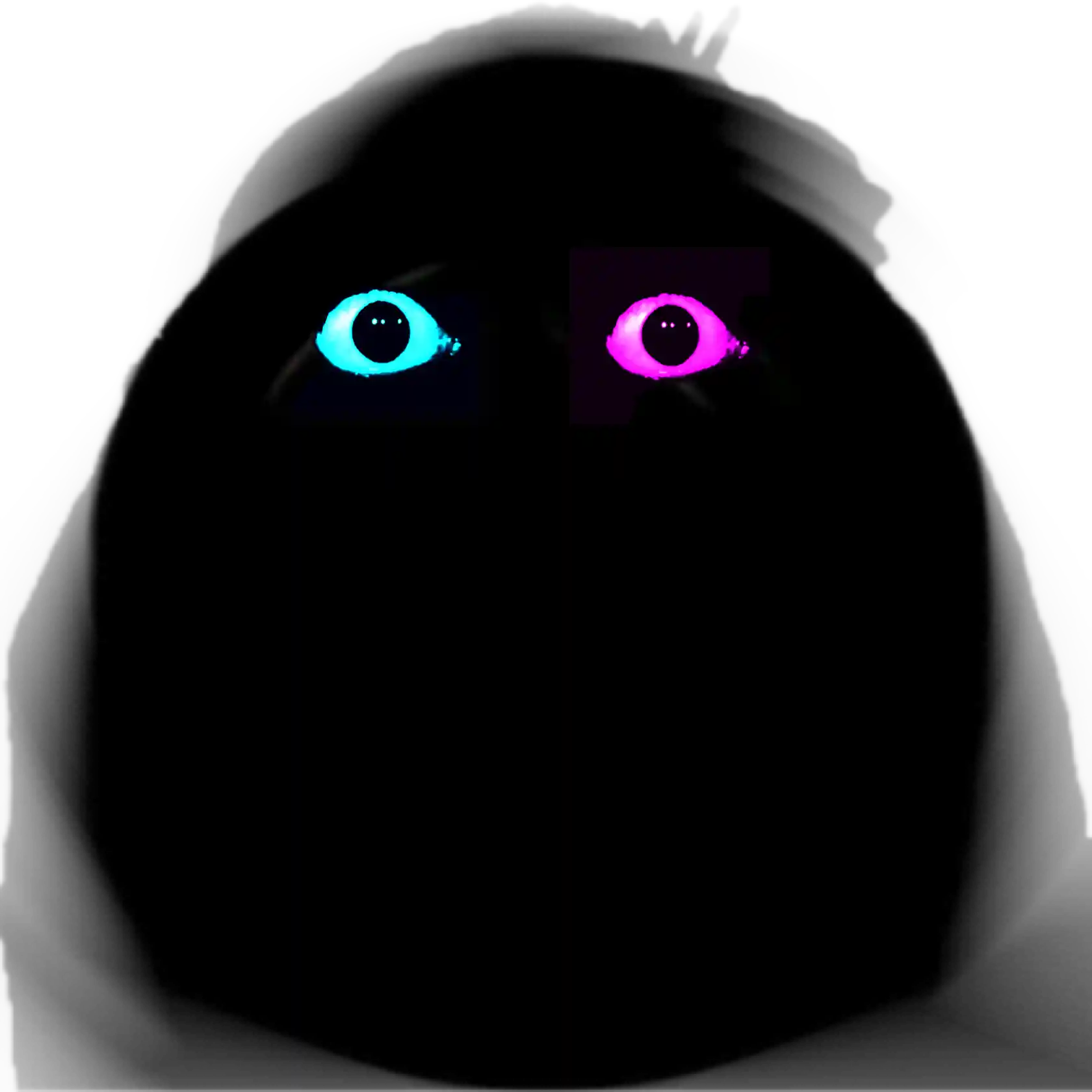 IMG_5291.png