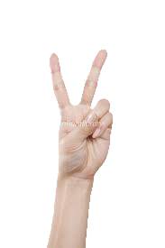 無題8_20251011072621.png 無題8_20251011072621.png