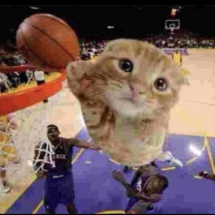 Kittendoingballin.webp