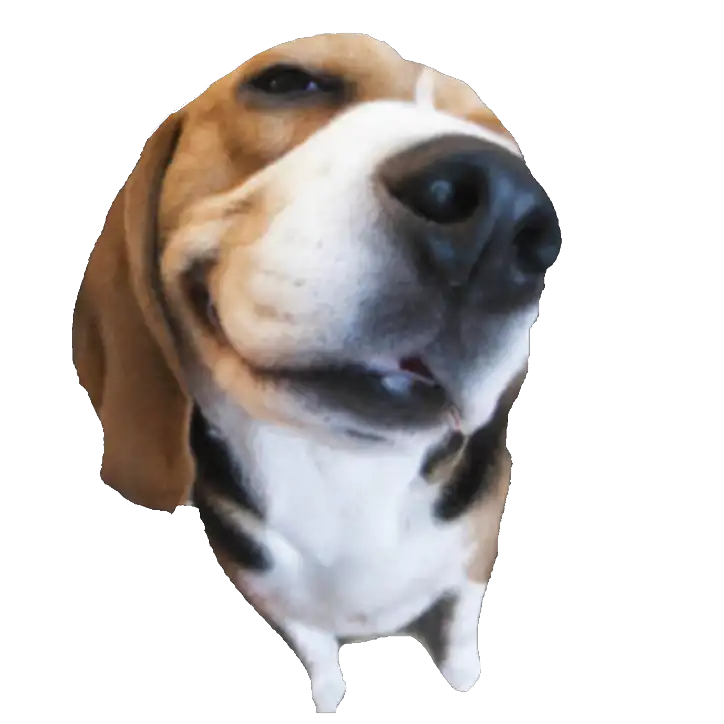 beagle.png