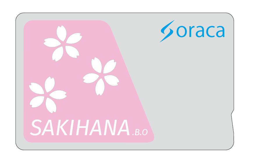 SakihanaSORACA-02.png