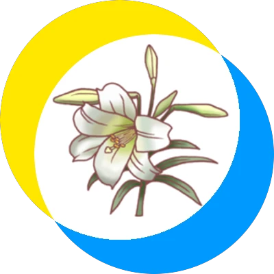 HSA尾翼.png HSA尾翼.png