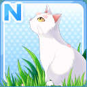 N桜と猫 白.jpg