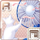 R夏の猫と扇風機 青.jpg