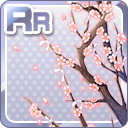 RRおみくじを結ぶ桜の枝 ピンク.jpg