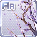 RRおみくじを結ぶ桜の枝 紫.jpg