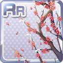 RRおみくじを結ぶ桜の枝 赤.jpg