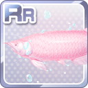 RR空を泳ぐ魚たち ピンク.jpg