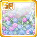 SR紫陽花の雨園.jpg