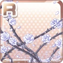 R美の薔薇 白.jpg