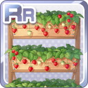 RR新鮮イチゴのプランター.jpg