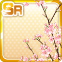 SR桜の枝と木漏れ日.jpg