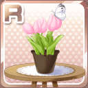 Rチューリップの鉢植え ピンク.jpg