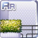 RRツツジが咲く植木 灰.jpg