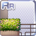 RRツツジが咲く植木 茶.jpg