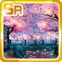 SR幻想的な桜公園 夜.jpg