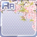 RR春の風に揺れる枝桜.jpg