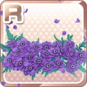 R咲き誇るアネモネ 紫.jpg
