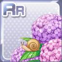 RR雨空の紫陽花とカタツムリ.jpg