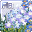 RR魔法の花園 青.jpg
