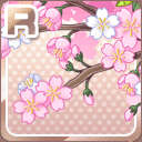 R桜の開花 ピンク.jpg