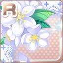 R桜フレーム ホワイト.jpg