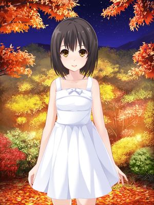 SR紅葉の山々 夜L.jpg