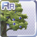 RR滅びの世界に実った林檎の木.jpg