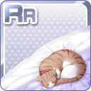 RR猫と掛布団 白.jpg