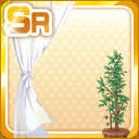 SR白いカーテンと観葉植物.jpg