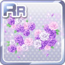 RR咲き誇る薔薇 紫.jpg