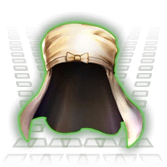 駿河守頭巾.png